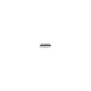 104854540_0762365890.jpg
