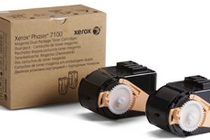 Xerox 106R02612 cartucho de tóner 2 pieza(s) Original Negro