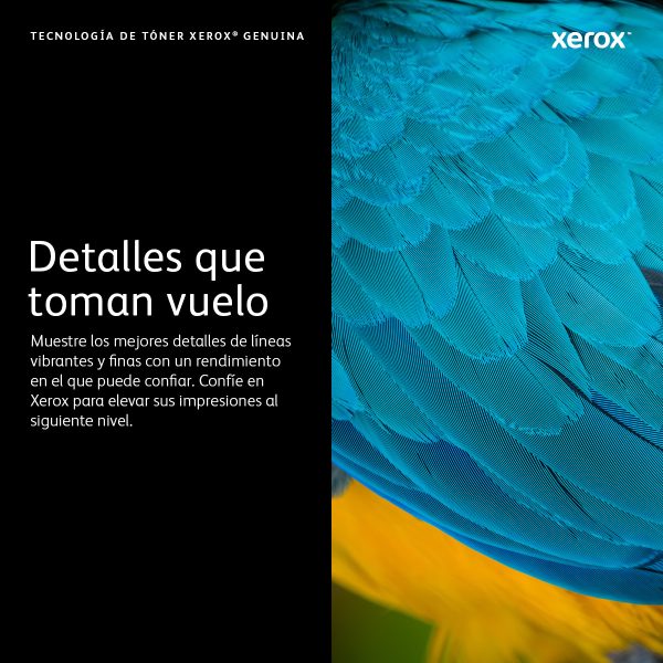 Xerox 106R03747 cartucho de tóner 1 pieza(s) Original Magenta - Imagen 3
