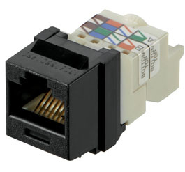 Panduit NK6TMBL módulo de conectores de red