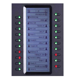 Grandstream Networks GXP2200EXT IP módulo adicional Negro 20 botones