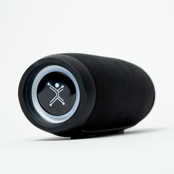 Perfect Choice PC-113249 altavoz portátil y para fiesta Altavoz portátil mono Negro 30 W