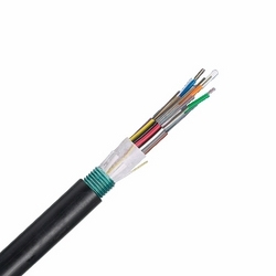 Panduit FOWNZ06 cable InfiniBand y de fibra óptica Negro