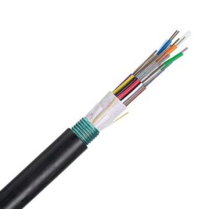 Panduit FSWN948 cable InfiniBand y de fibra óptica Negro