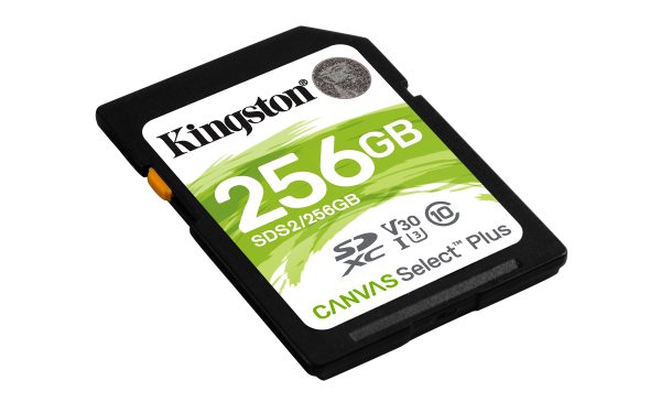 Kingston Technology Canvas Select Plus 256 GB SDXC UHS-I Clase 10 - Imagen 2