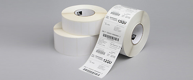5260985-8130-5.jpg