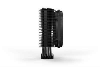 70490848_4660292627.jpg