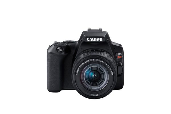 Canon EOS Rebel SL3 + EF-S 18-55mm IS STM Juego de cámara SLR 24.1 MP CMOS 6000 x 4000 Pixeles Negro - Imagen 2