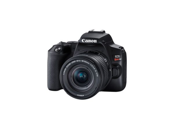 Canon EOS Rebel SL3 + EF-S 18-55mm IS STM Juego de cámara SLR 24.1 MP CMOS 6000 x 4000 Pixeles Negro - Imagen 3