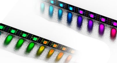 72771689_2624831019.jpg