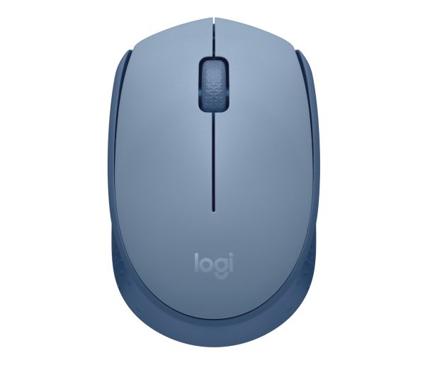 Logitech M170