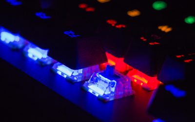 87016534_6483257073.jpg