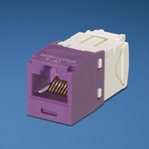 Panduit Copper Jack Module Violet
