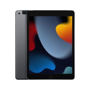Apple iPad 4G LTE 256 GB 25.9 cm (10.2") Wi-Fi 5 (802.11ac) iPadOS 15 Gris
