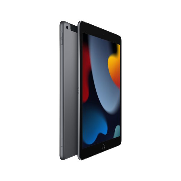 Apple iPad 4G LTE 256 GB 25.9 cm (10.2") Wi-Fi 5 (802.11ac) iPadOS 15 Gris - Imagen 2