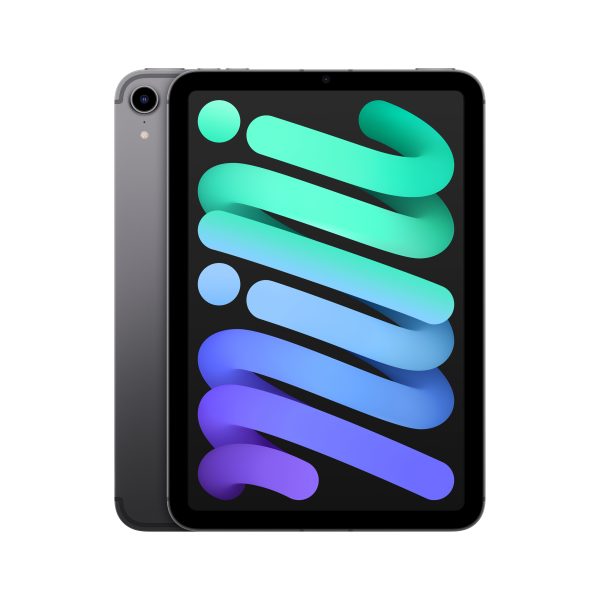 Apple iPad mini 5G TD-LTE & FDD-LTE 256 GB 21.1 cm (8.3") Wi-Fi 6 (802.11ax) iPadOS 15 Gris