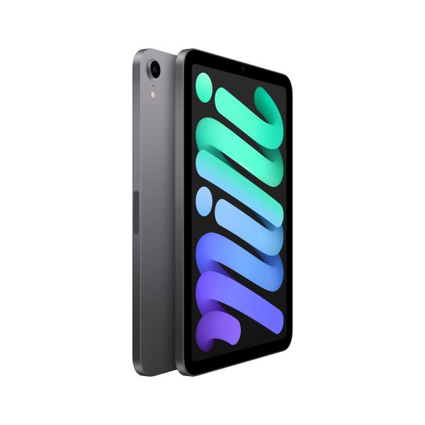 Apple iPad mini 256 GB 21.1 cm (8.3") Wi-Fi 6 (802.11ax) iPadOS 15 Gris - Imagen 2