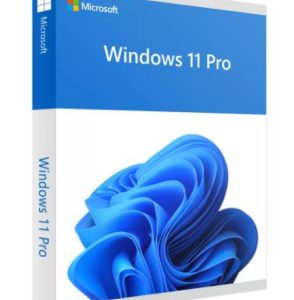 Microsoft Windows 11 Pro, OEM 1 licencia(s)
