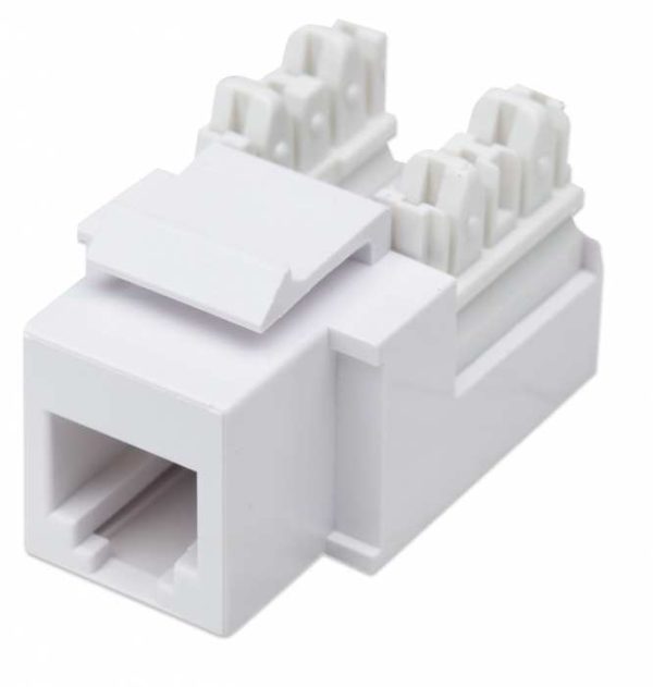 Intellinet JACK RJ11 RJ12 KEYSTONE DE IMPACTO BLANCO