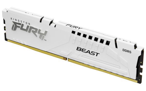 Kingston Technology FURY Beast módulo de memoria 16 GB 1 x 16 GB DDR5
