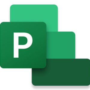 Microsoft Project Standard 2024 Gestión de proyectos Completo 1 licencia(s)
