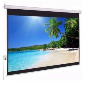 Multimedia Screens MSE-216 pantalla de proyección 3.05 m (120") 1:1